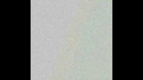 Snapshot of hngtop4furedadstx chatting on 03/09/25, 01:26 Hung top 4 furry dads online show from 03/09/25, 01:26