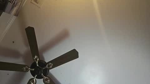 hoglegg99384194 online show from 11/02/25, 11:01