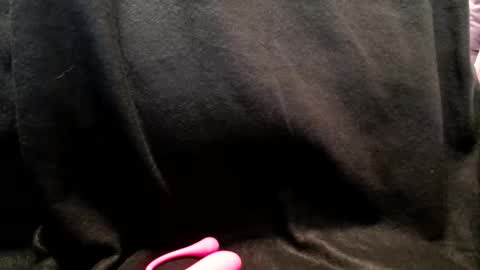 hoiiand48482 online show from 01/13/25, 10:25