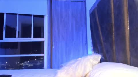 Mara online show from 02/11/25, 03:29