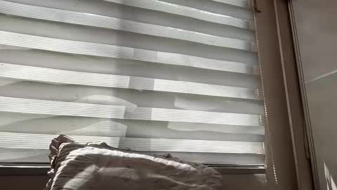 holly_wyn online show from 03/14/26, 01:55