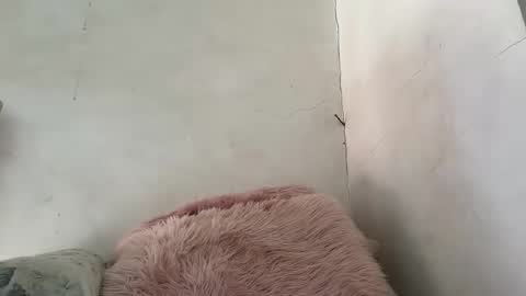 holly_wyn online show from 03/24/26, 12:15