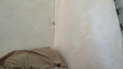 holly_wyn online show from 04/11/26, 01:21