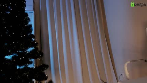 hollyextra online show from 12/24/24, 08:49