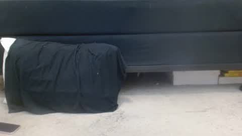 Snapshot of hollyhawkes chatting on 03/03/25, 01:10 Holly Hawkes online show from 03/03/25, 01:10