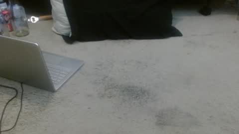 Holly Hawkes online show from 01/13/26, 10:59