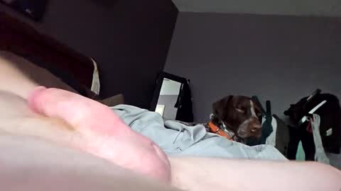 Snapshot of hollyjesde143 chatting on 09/25/25, 03:05 Hollynjessie143 online show from 09/25/25, 03:05