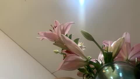 space online show from 01/12/26, 02:28