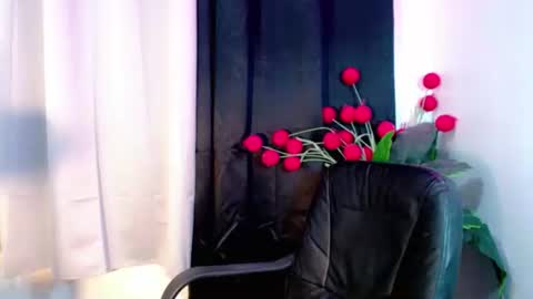 Snapshot of holy_shine chatting on 01/13/26, 05:46 Bella online show from 01/13/26, 05:46