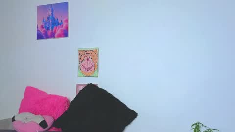      online show from 05/18/26, 11:43
