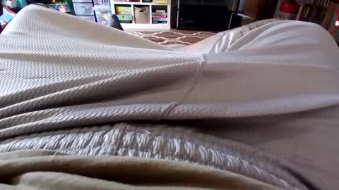 holycannoli123 online show from 10/15/25, 01:22