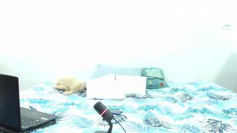 Holycode online show from 02/02/25, 10:57