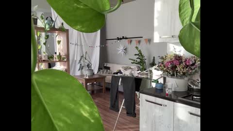 Snapshot of holydori chatting on 01/08/26, 12:40 dori not holy get my tg channel with link from description under last photo online show from 01/08/26, 12:40