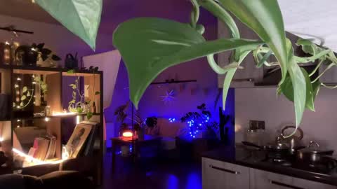 Snapshot of holydori chatting on 04/20/26, 07:48 dori not holy get my tg channel with link from description under last photo online show from 04/20/26, 07:48