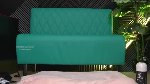 homehornyeva online show from 02/19/25, 11:25