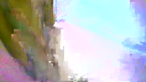 honey1963 online show from 03/01/26, 09:50