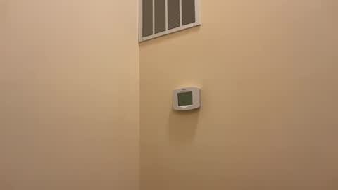 Snapshot of honey_man14 chatting on 02/19/25, 06:32 honey_man14 online show from 02/19/25, 06:32