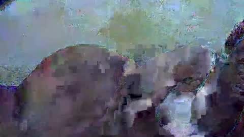 honey_sunshiny online show from 02/03/26, 06:51