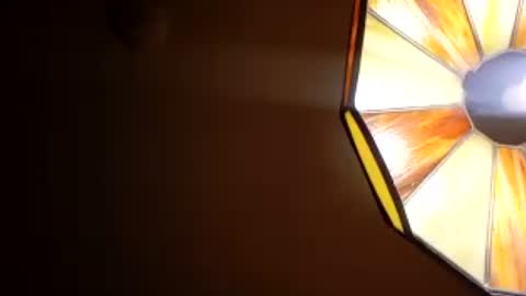 honeybear2026 online show from 07/28/26, 07:37