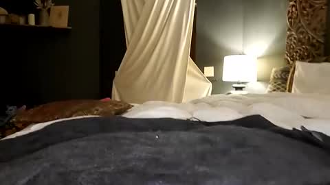 Honey online show from 10/17/25, 06:27