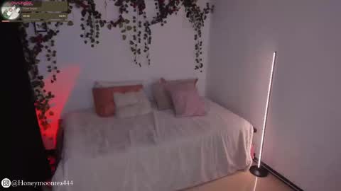       online show from 02/24/25, 10:14