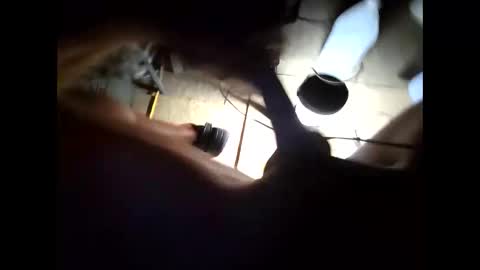 hongdong online show from 11/15/25, 10:23