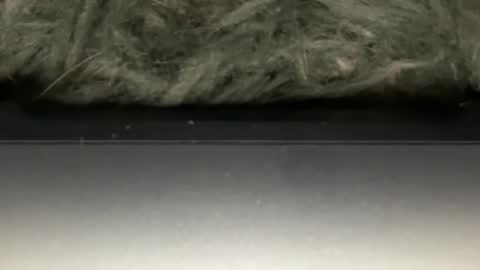 Snapshot of hoodiesahdgoodies chatting on 02/23/26, 05:38 D online show from 02/23/26, 05:38