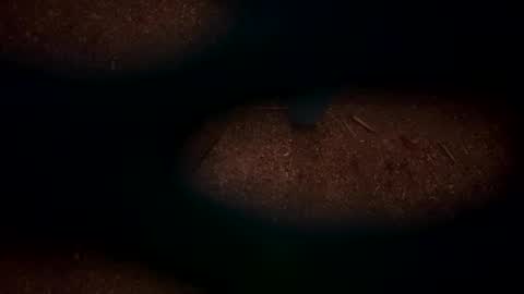 Snapshot of hopper_in_joyce chatting on 03/02/25, 09:10 hopper_in_joyce online show from 03/02/25, 09:10