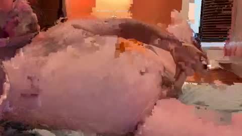 horndawglove online show from 01/06/25, 07:56