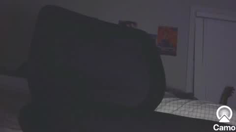 Snapshot of horny0g chatting on 01/24/25, 04:59 horny0g online show from 01/24/25, 04:59