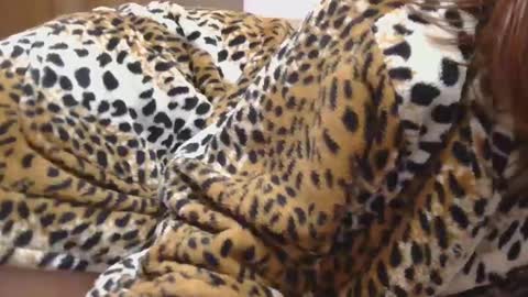 Serena online show from 02/22/25, 10:20