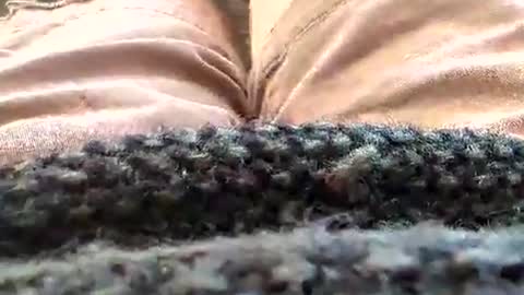 Tiny cock online show from 01/18/26, 02:43