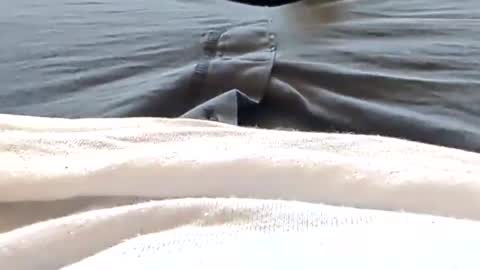 Tiny cock online show from 04/25/26, 06:05