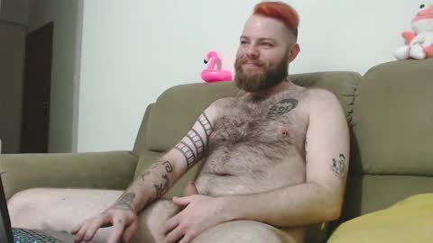 Snapshot of hornyhairy_bi chatting on 12/02/24, 03:37 Harry online show from 12/02/24, 03:37