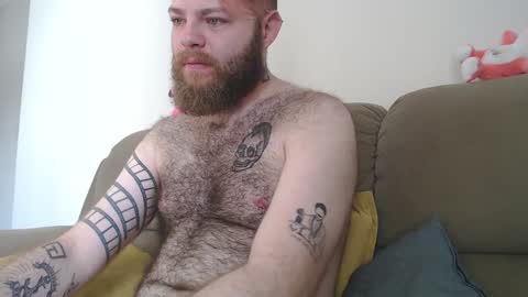 Snapshot of hornyhairy_bi chatting on 12/09/24, 06:03 Harry online show from 12/09/24, 06:03