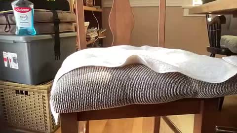 HornyThumb online show from 01/11/26, 06:02