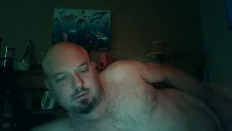 Snapshot of horsenamedcharlie chatting on 12/08/24, 02:19 Charles online show from 12/08/24, 02:19