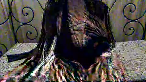 Dina online show from 11/01/25, 08:11