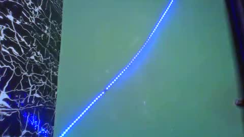 Stella online show from 02/14/25, 08:52