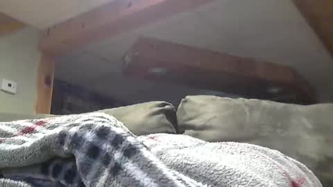 Hot and Horny online show from 05/01/26, 08:46