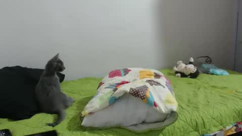 Snapshot of hotandpower10 chatting on 01/14/25, 06:45 Hot and PowerHOPE U MISS ME online show from 01/14/25, 06:45