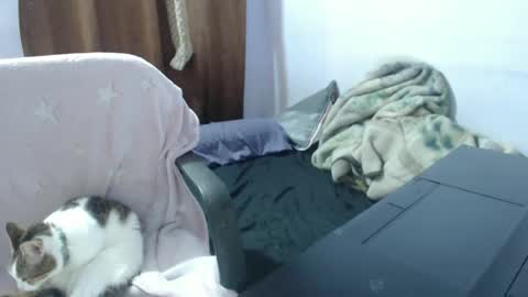 Snapshot of hotandpower10 chatting on 11/14/25, 03:49 Hot and PowerHOPE U MISS ME online show from 11/14/25, 03:49