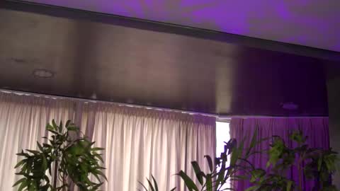 Anais online show from 10/27/25, 09:57