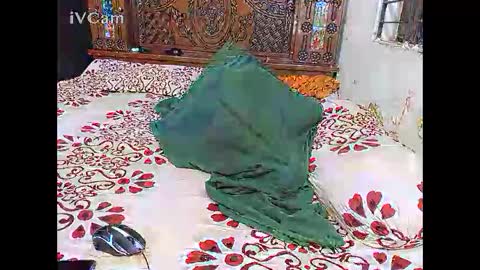 Hotcapolx online show from 11/24/25, 05:34