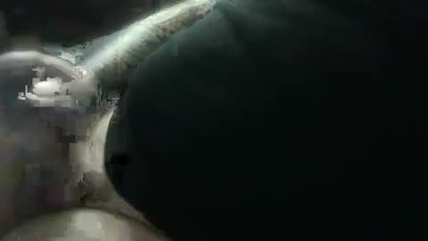 hotcream259 online show from 01/09/25, 03:04