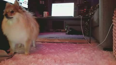 Snapshot of hotgirlbigbutt chatting on 01/17/26, 11:15 hotgirlbigbutt online show from 01/17/26, 11:15