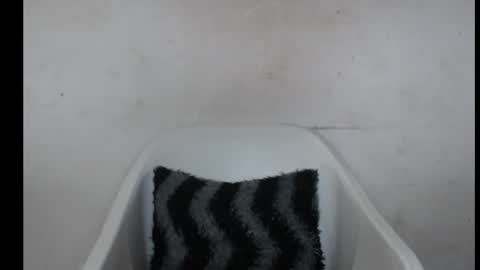 hotjessie0 online show from 10/03/25, 09:06