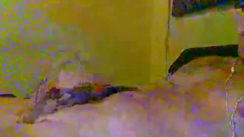hotjox online show from 03/05/26, 06:09