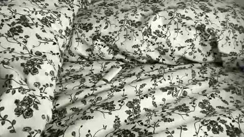 Snapshot of hotmama6666 chatting on 04/21/26, 10:01 Annabelle online show from 04/21/26, 10:01