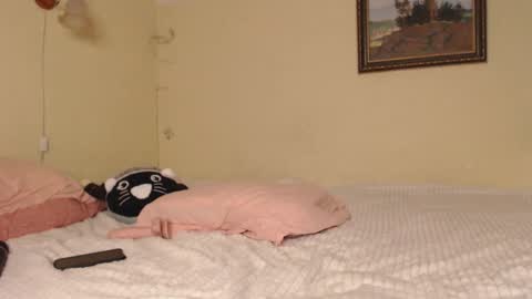 hotmp4 online show from 12/16/24, 08:16